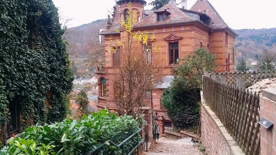 image_1323714141482325141165.jpg?type=w966