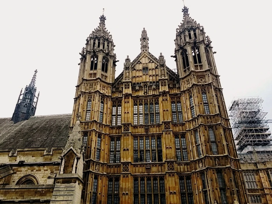 image_5481061401477558892527.jpg?type=w1