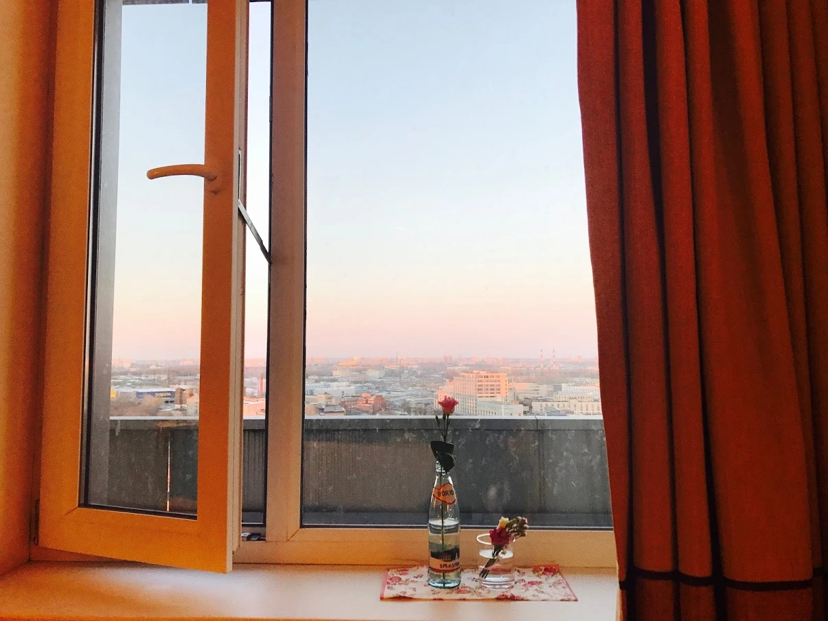 동트는 새벽 후 꽃.JPG