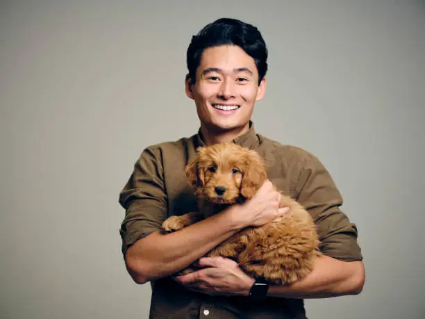 portrait-of-an-asian-man-holding-a-young-dog.jpg?s=612x612&w=0&k=20&c=Iw0OedGHrDViIM_6MipHmPLlo83O59by-LGcsDPyzwU=