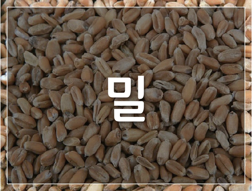 %EB%B0%80.png?type=w1200