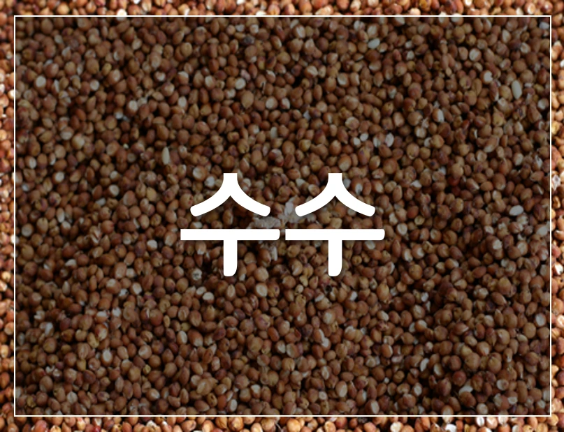 %EC%88%98%EC%88%98.png?type=w1200