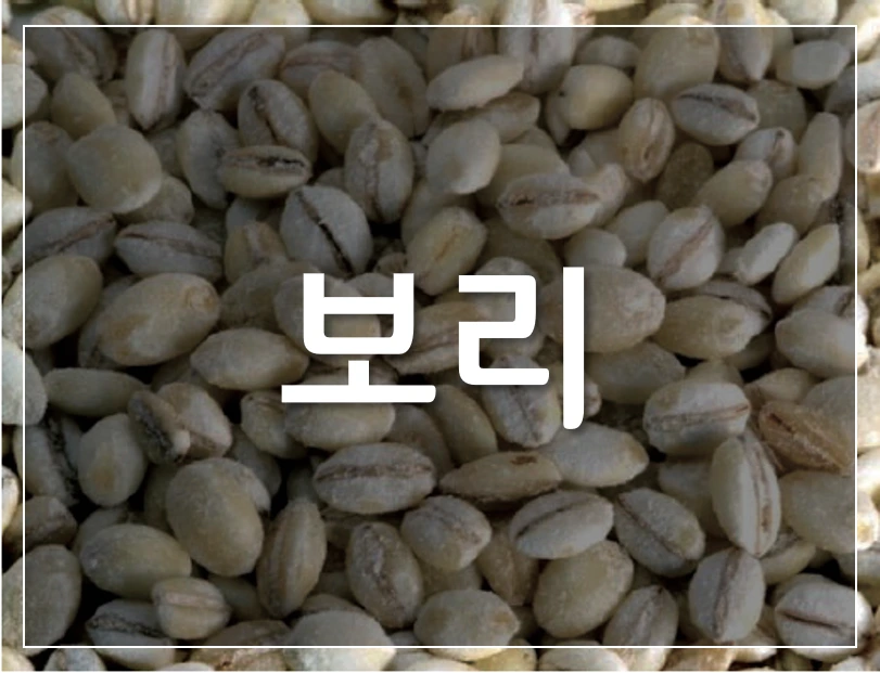 %EB%B3%B4%EB%A6%AC.png?type=w1200