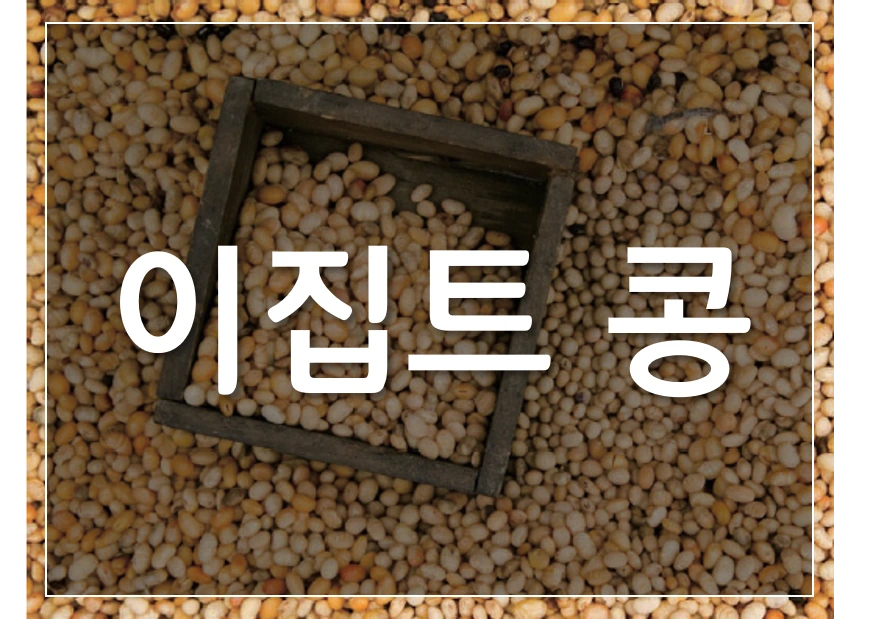 %EC%9D%B4%EC%A7%91%ED%8A%B8%EC%BD%A9.png?type=w1200