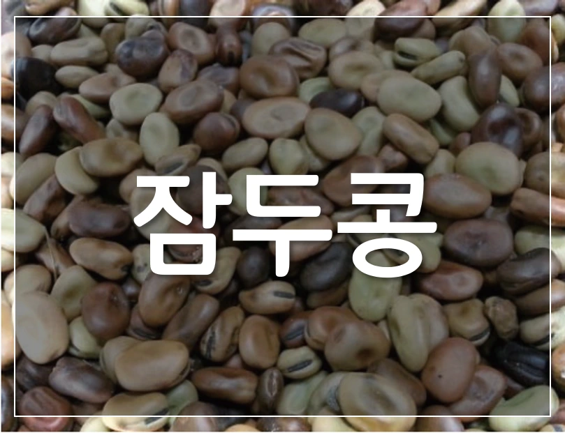 %EC%9E%A0%EB%91%90%EC%BD%A9.png?type=w1200