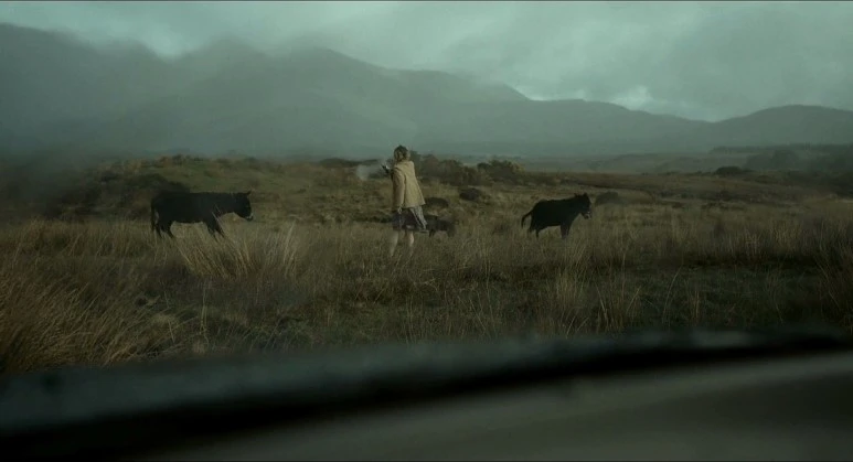 The_Lobster_2015_1080p_BluRay_x264_DTS-JYK.mkv_20170617_235422.900.jpg?type=w773