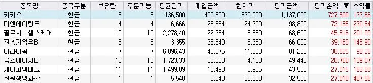 카카오 주식투자.JPG