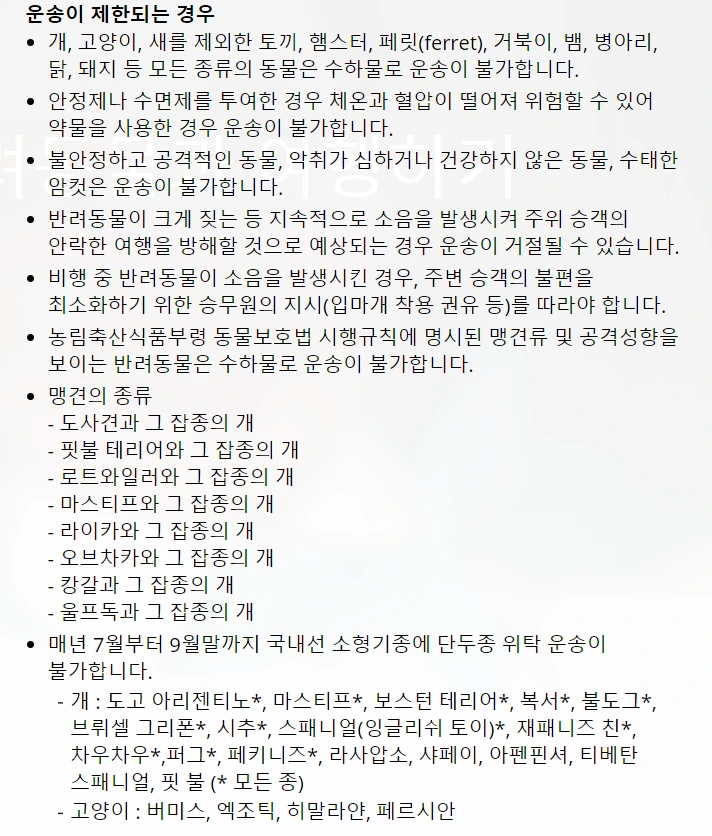 반려동물 운송.PNG