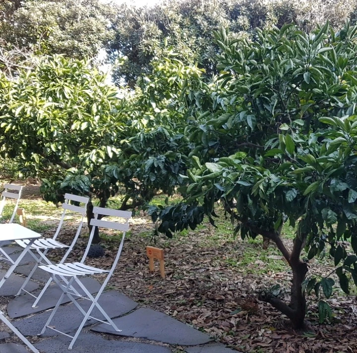 99B76D4F5A99473609BE1F