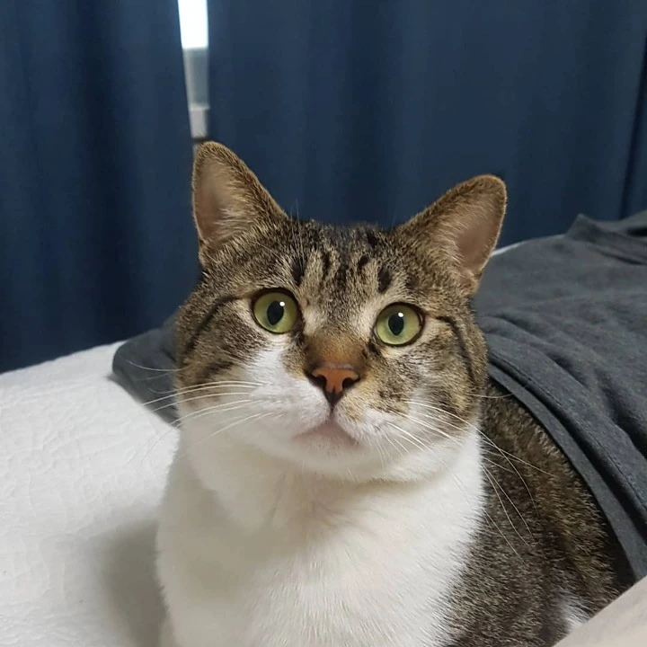 999978385AB39954044301