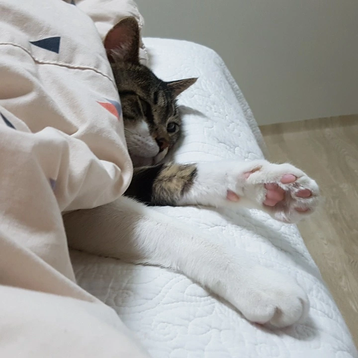 99E845355AB399523A8655