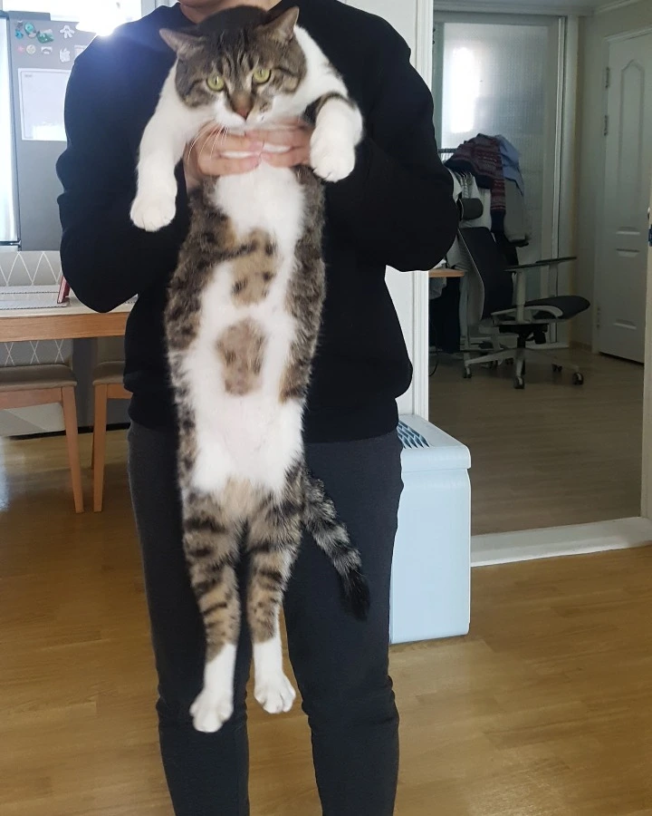 997D96385AB3994F069B5A