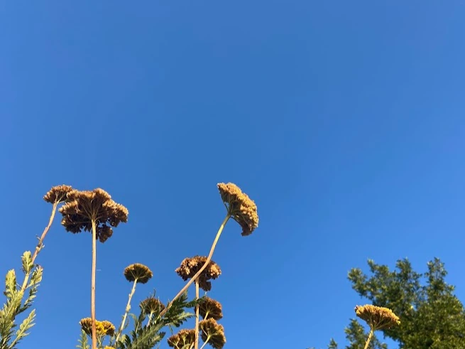 k_bIU4uQfbuv5n0cw97DLR84U11DSiIBsfNwbpbUfRdtAZ7gy6_h2AV-Ar2eKgqYPBNw2QwqnHI4hwO2X3haG0rACr5WeEpmx03VPmlQxxIGtOJc9HkkL9gDEX7AIyWmYOYoc-bhe4WfC1EWc0ecIlb_kNtrEdQYQc7KdUMB6K_UY1HFmaf8nhg2xqDKAUd5nLwl8W0lTwnQk5Zf795n0tNq85Y95jL-JeoFYa14Wy3Iwy4jrchpyy2bjkSCL0RR7xULk_S7hKsYVLWNA_QRpOQv834TonUwlMjfvP5MNSHoNiE06dwV4mrZ6BsICMvaT8ptyRNFlyBWXMDeCyz71M5ii6cqwZgilp1MaZm_h2IF1tUrHOopUEuPvfYTGWUZ511p-uRFkmaEA0PMvZpiopohD0sn_cLAnNQfwzIfFxfGi8Gtkh_PMOzghQR6iq-cVK2Q1VQPmdPQxrn-Bpnft6310Ddt0_Gr16deL-s5ys3Nhy__oX8-1BO-MjN7iSydzyLd4vuSl_Zt2ysfr_zwwRpwFOroJvqq_4T-h_vMhbinxC1w03NGGBfNJIJymRIGFCQcsVdYRHKiN3DnVLEFIuzP2jFAzTcOLxMuy2WwY36F9awizkqF5bWPGGIFQrs-lGgD8fLD7LDG_k1b52ydlyunfGNqRfR8Ir650LH_3Kt6FfvvnuAtB3xSKQ3IiBK7gRAV8LmBuA6Y8QJnhnN9oYfcbTXp6j-QoZdNii09SjtwNoJaXCexX0u6NwFfSCUrhL4cCg_69gabBVfX9V5x1nzw6d3ikLGDU7G0ob_vMFSaeXrxco2I0ifzTVxSwktBjexF79KuwX0_E4vPRYkknmqc6qy7OsNvaDj0qyiey5dculpQgLIzRTBvy3fVY_ePWOVbDbEpMauv6kDfHTa8xGfIG0VkVPm2AJ-UVaFfvtPVelndSeMmMiFwymQ3uuvYmnnqOIkfKOlsic0cthK5vRRG4pEJXmk-75GPM4VmKpu4zWGAOAb0Bxc=w655-h873-no?authuser=0