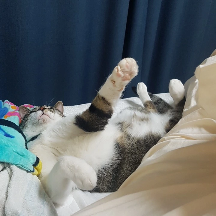 99721F385AB39955322292