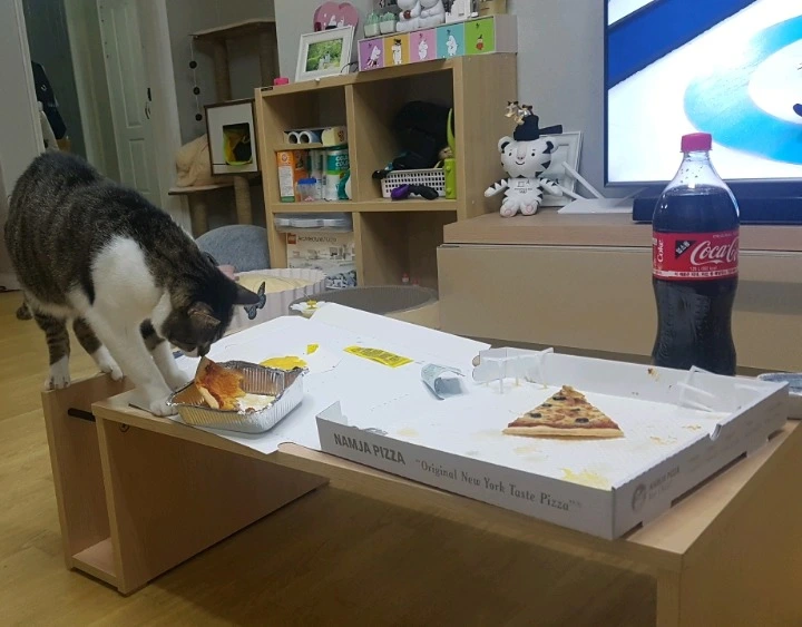 99FC6F345A92BF7E3F3574