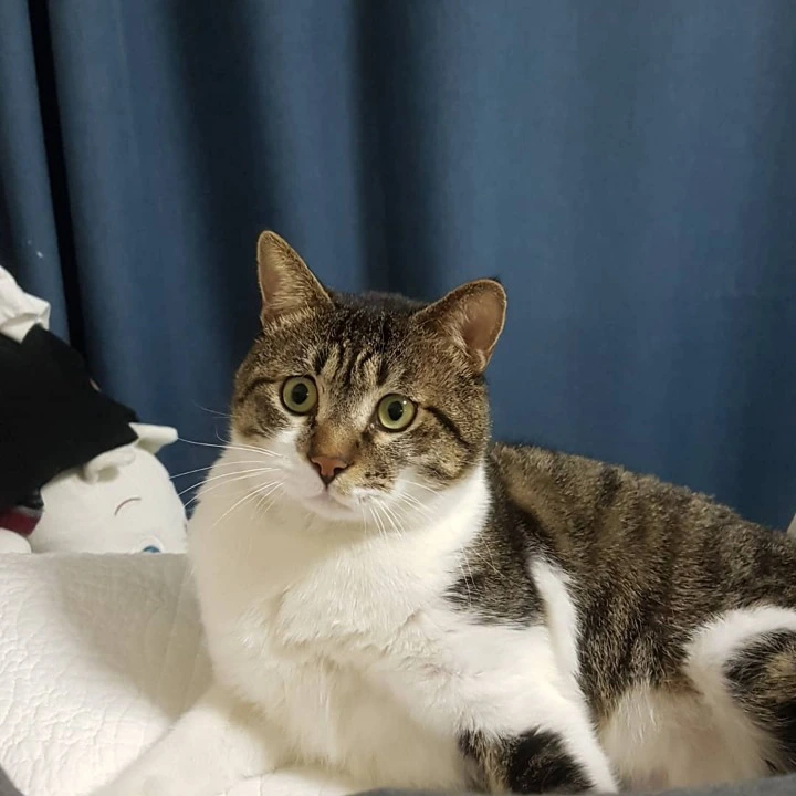 992C7B415AB399533823CE