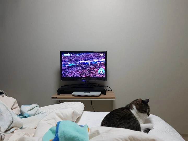 99A0244C5AAE615A2A3011