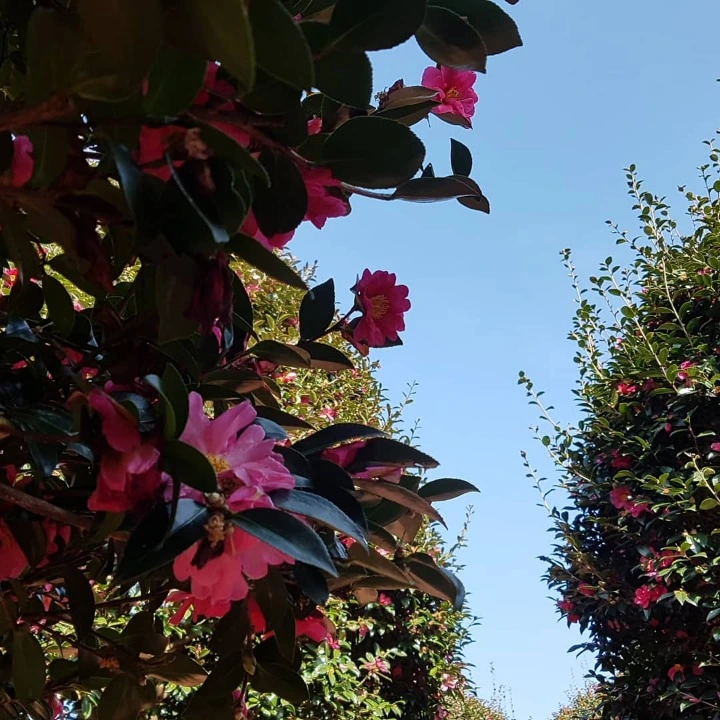 99A37B435A9947312F79EF