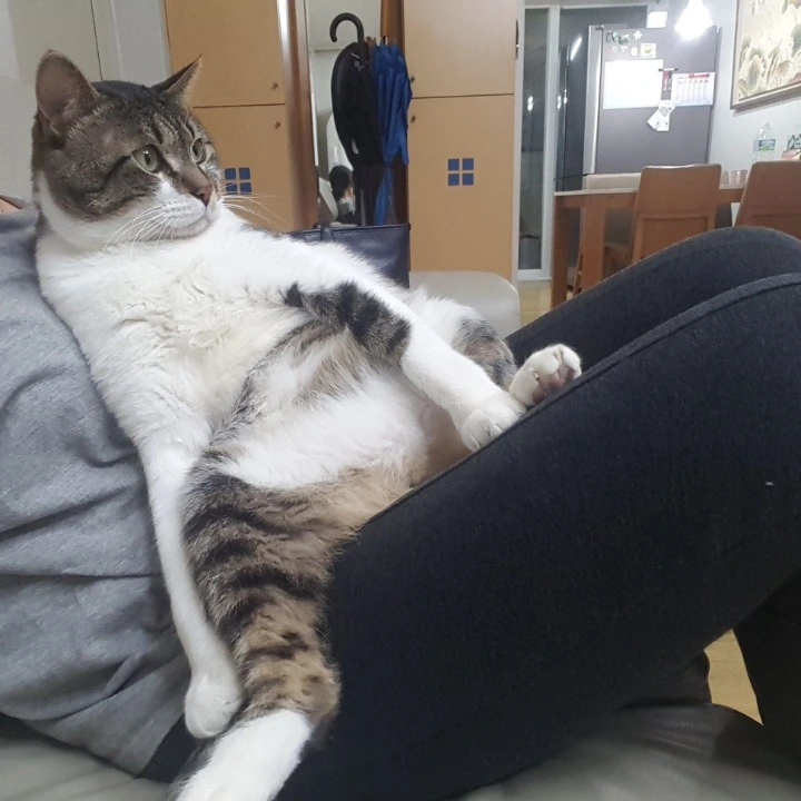 991D2F335AB3994F127E7E