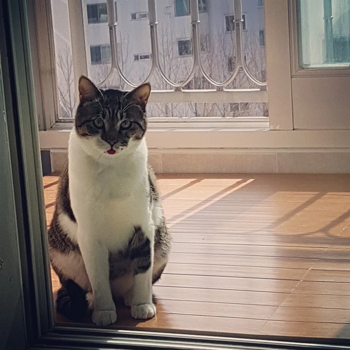 9958A1405AB39950166274