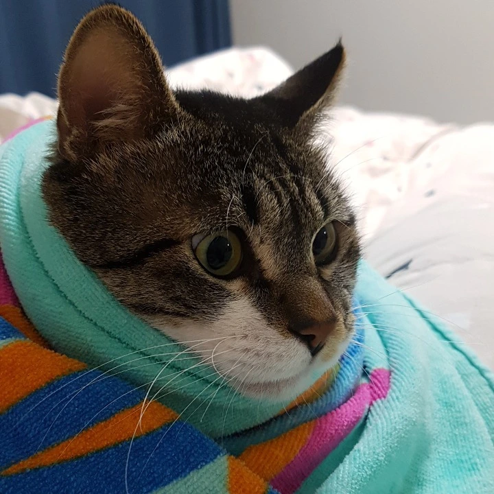 997AFB415AB39952325CC5