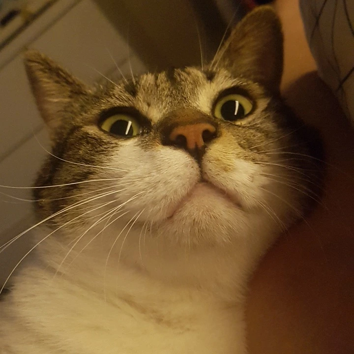 99AA043E5AB39954251FC9