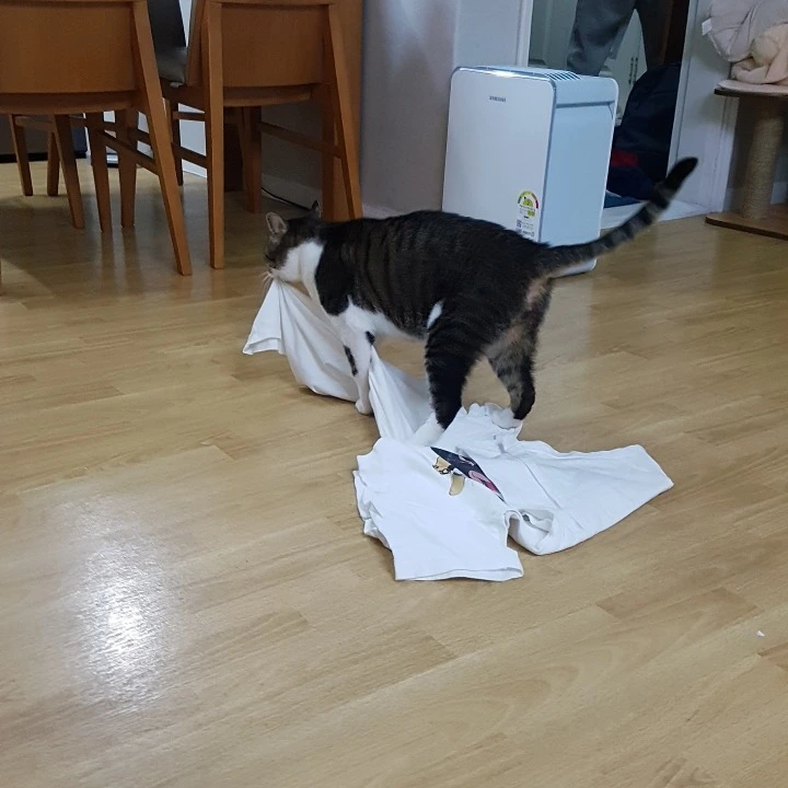 9968723C5AB39951333522