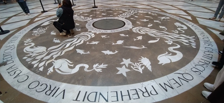 669f1591895fe.jpg?imgSeq=30977