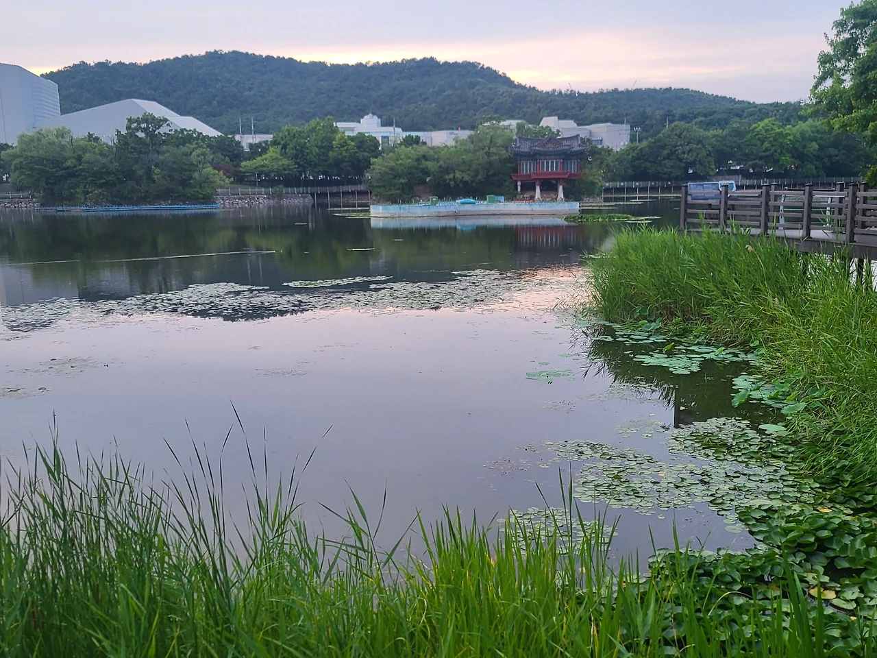 66f4dd9770cb2.jpg?imgSeq=35211