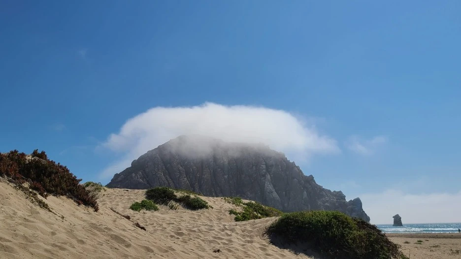 20200812_155217.jpg?type=w1