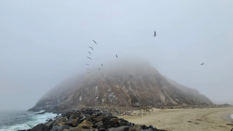 20200812_090842.jpg?type=w1