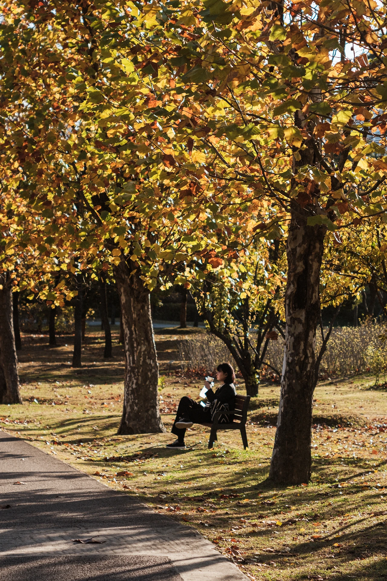 20251110-DSCF2030 2.JPG