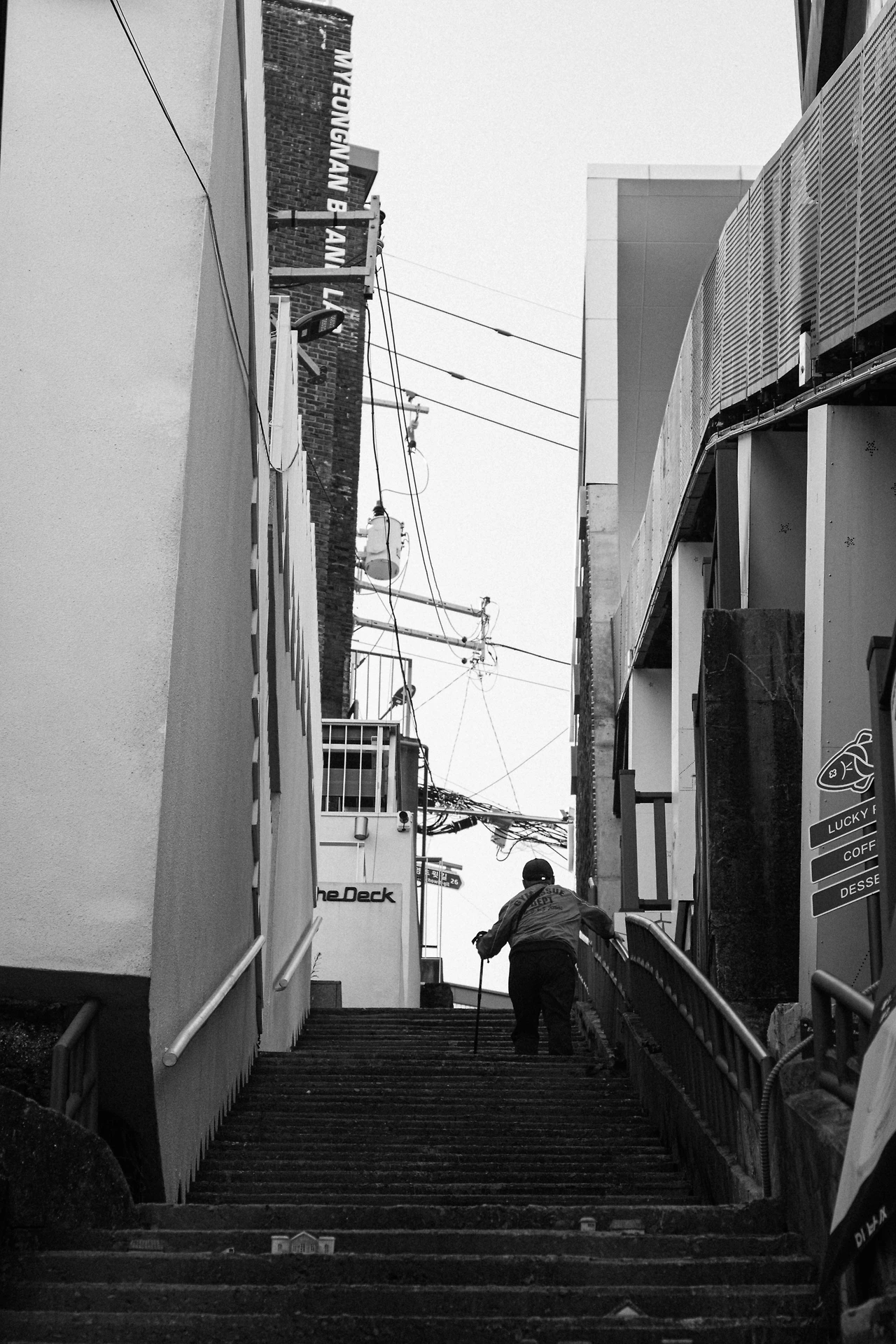 20251113-DSCF2408 2.JPG