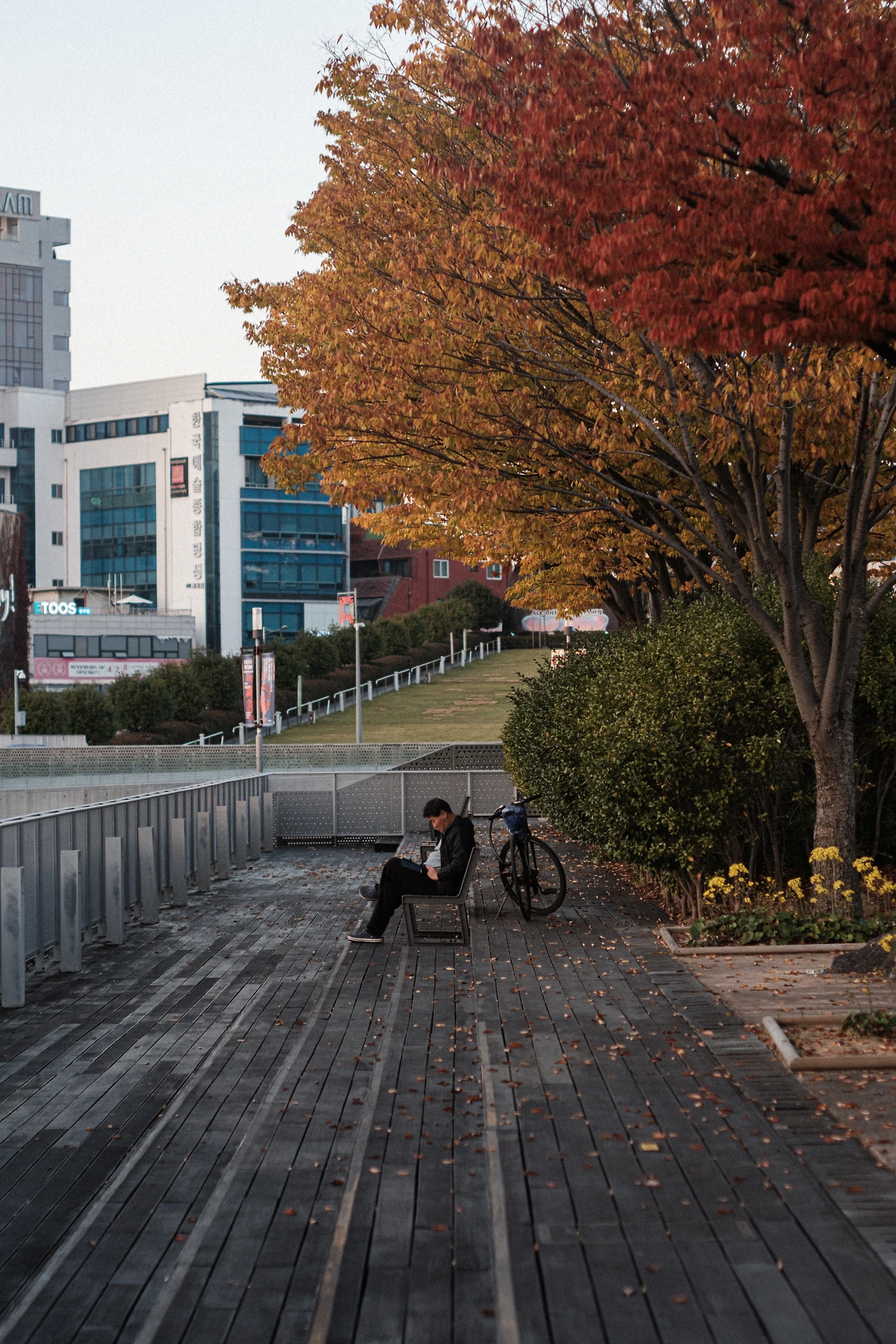 20251105-DSCF1208 2.JPG