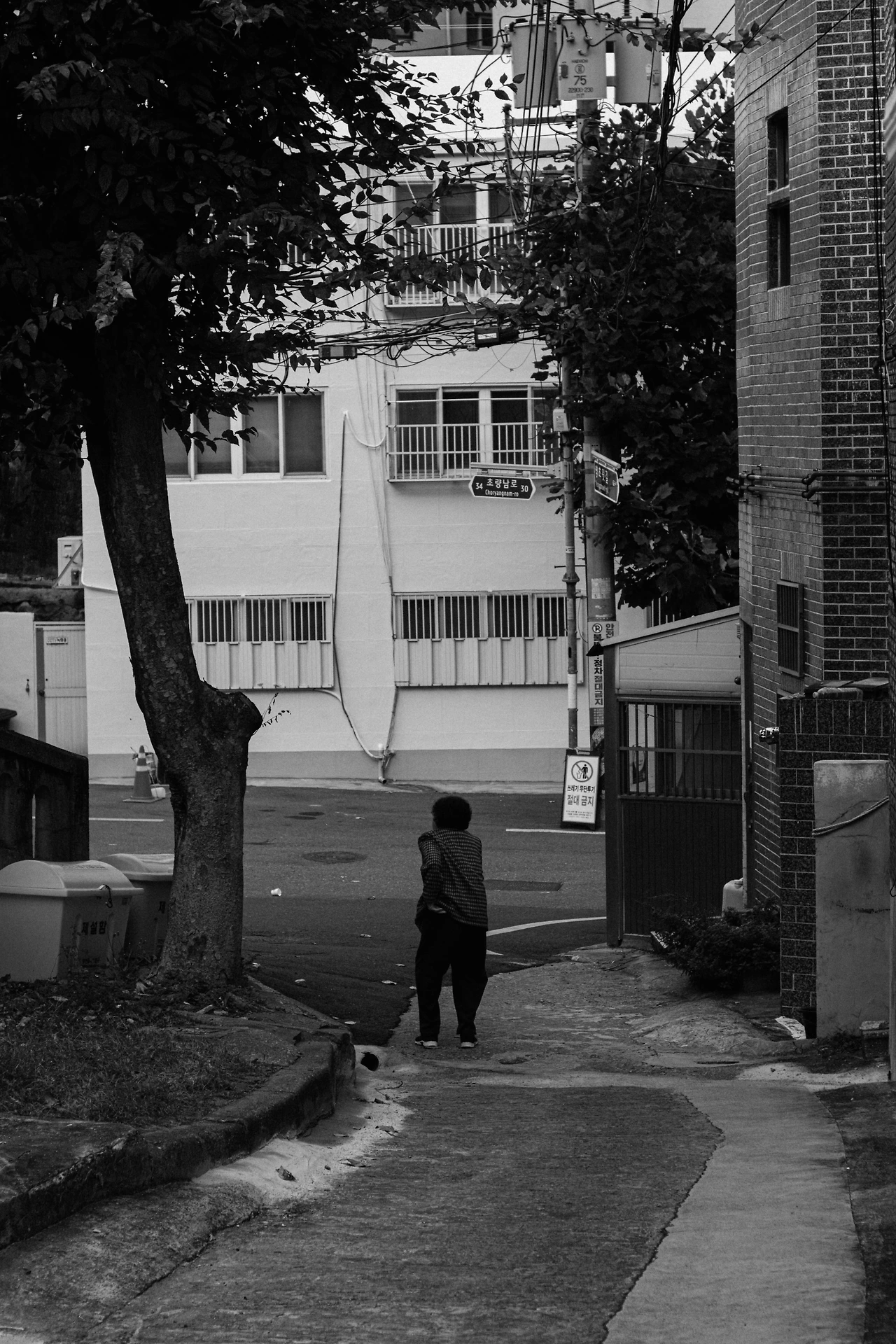 20251113-DSCF2375 2.JPG