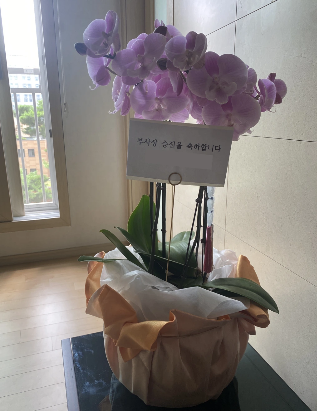 TUDUwTBKxWDFFHP0-ENJc79KdgRf8AQqDi_bjFMY5ntmygE7zxUlDP78GUgxPWltGnWpIMttd2XZs2ljTai3Mja9HMA0eTCRdCP5xHyKxUmwrpqyU_RHaSxHyghpFZ-QPyz5qaJkOvES9OFjllI4aW8