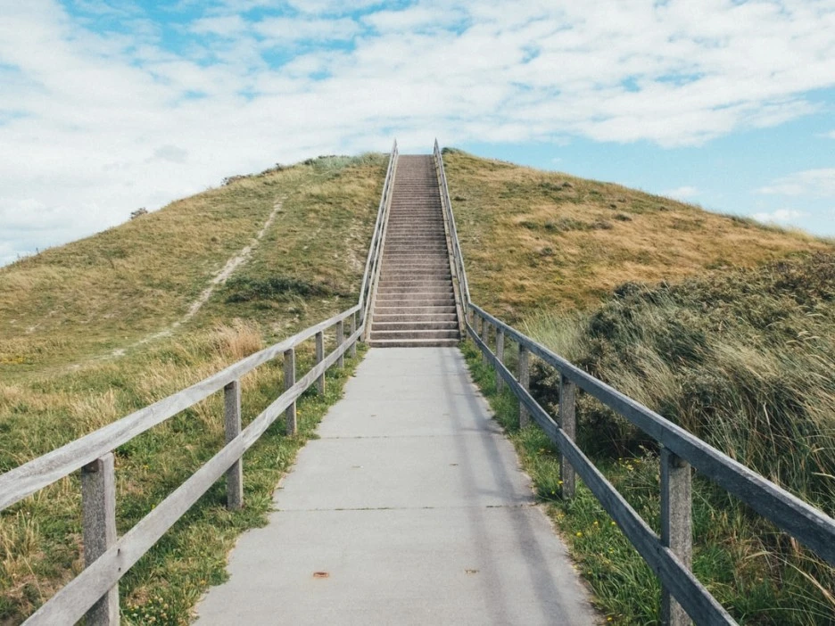 photo-1594617166839-a74f8a2d9888.jpg?type=w1