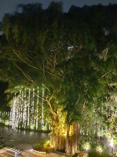 20230130_203136.jpg?type=w386