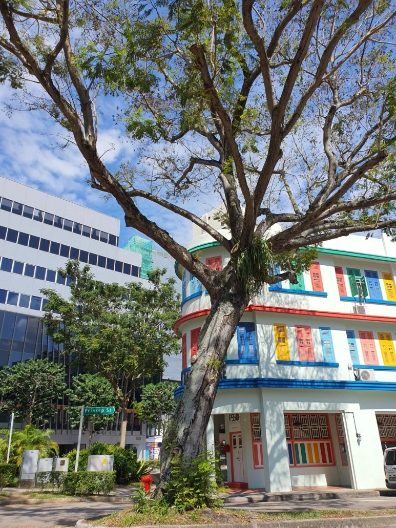 KakaoTalk_20230323_164253279_22.jpg?type=w773