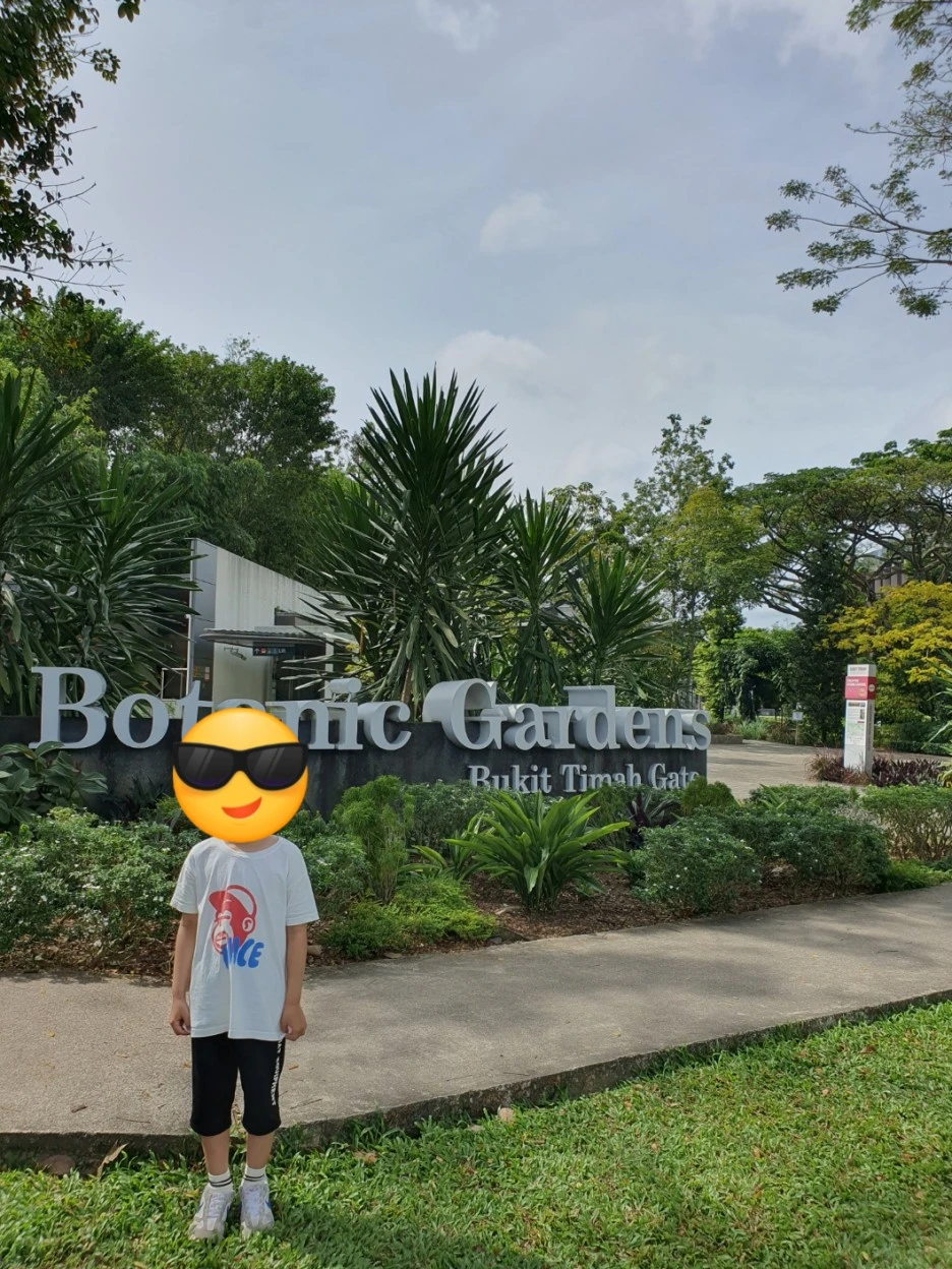 SE-0a8f745e-e882-4c37-8113-b600fa37b075.jpg?type=w1