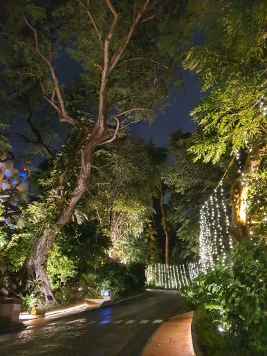 20230130_202408.jpg?type=w386