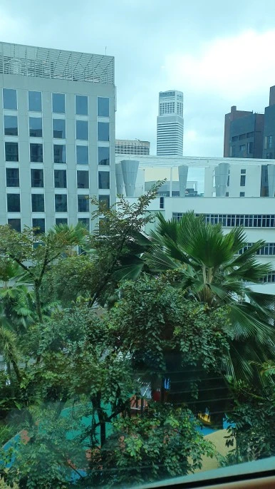 20230129_102950.jpg?type=w386