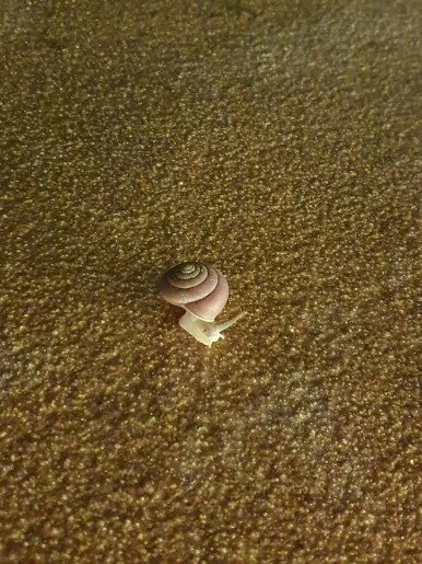 20230130_202533.jpg?type=w386