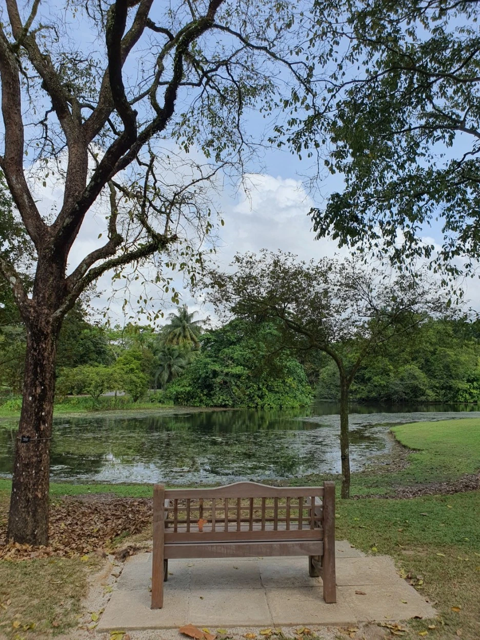 KakaoTalk_20230328_134439923_26.jpg?type=w1