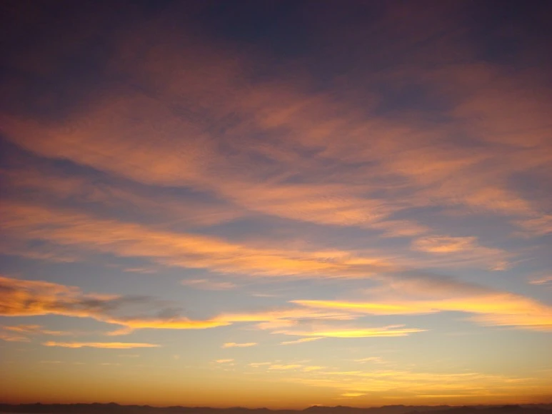 DSC00428.JPG?type=w773