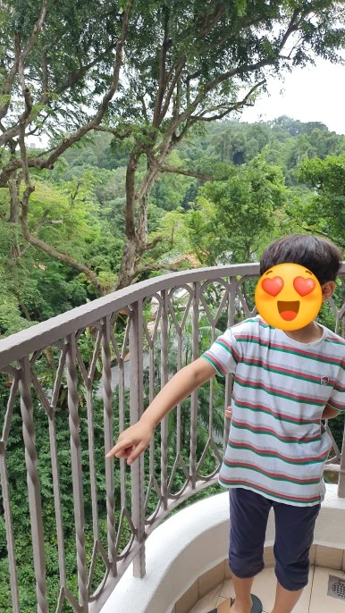 SE-7c95a536-d699-4f49-ab3d-c7ea6848a9d4.jpg?type=w386