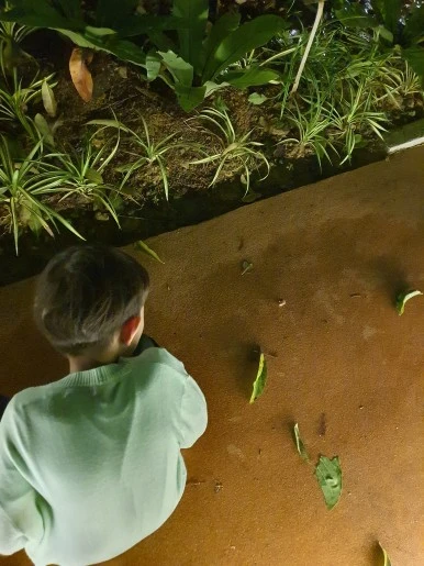 20230130_202514.jpg?type=w386