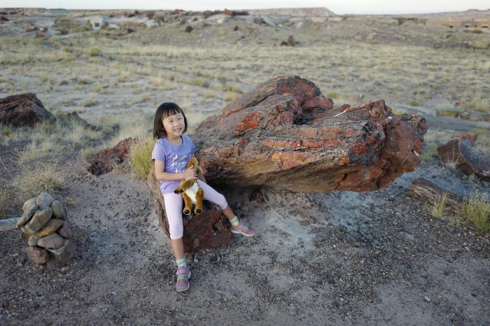 15-2.페트리파이스 포레스트-풍경.JPG