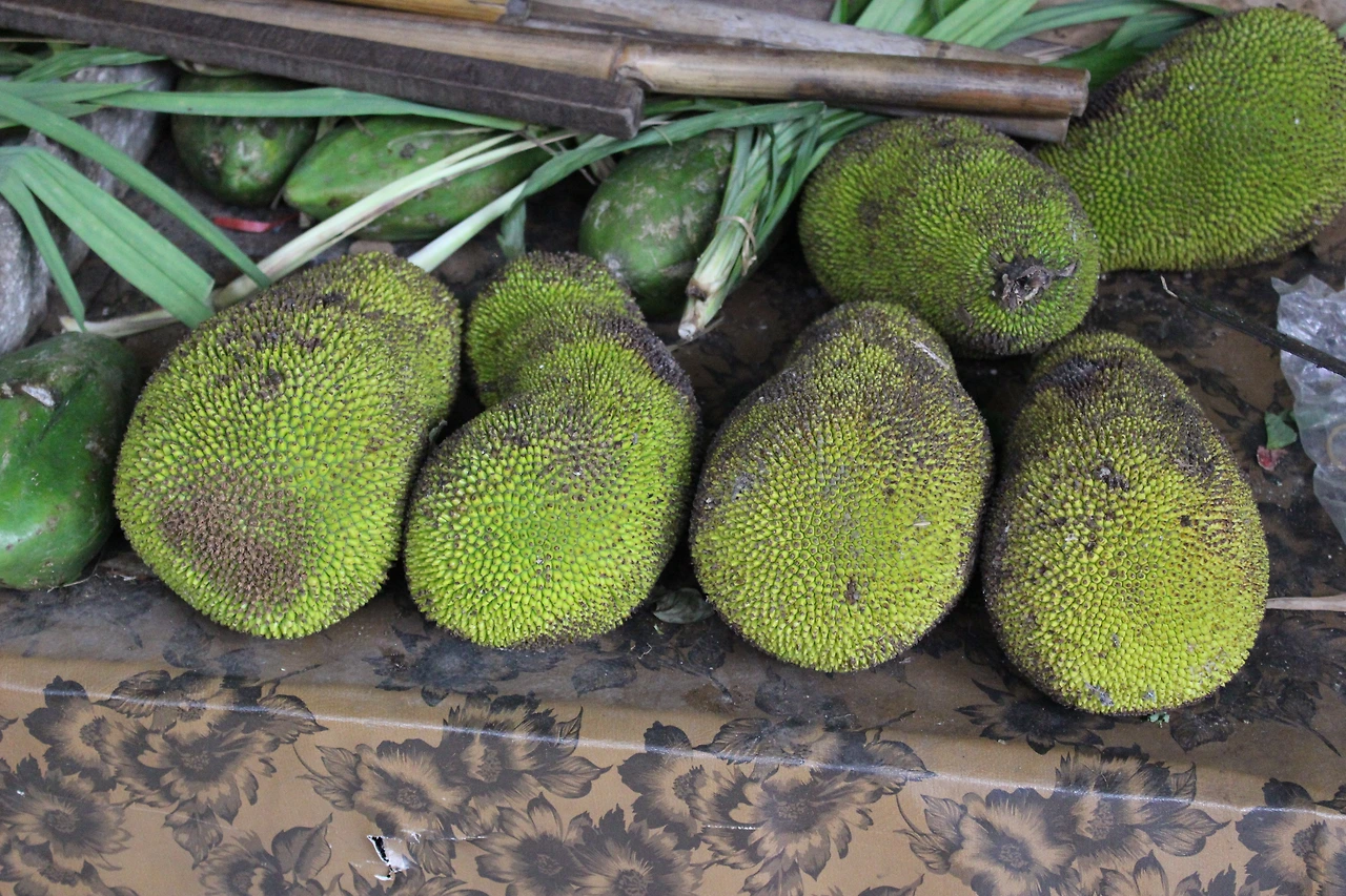 IMG_2074 - 복사본.JPG