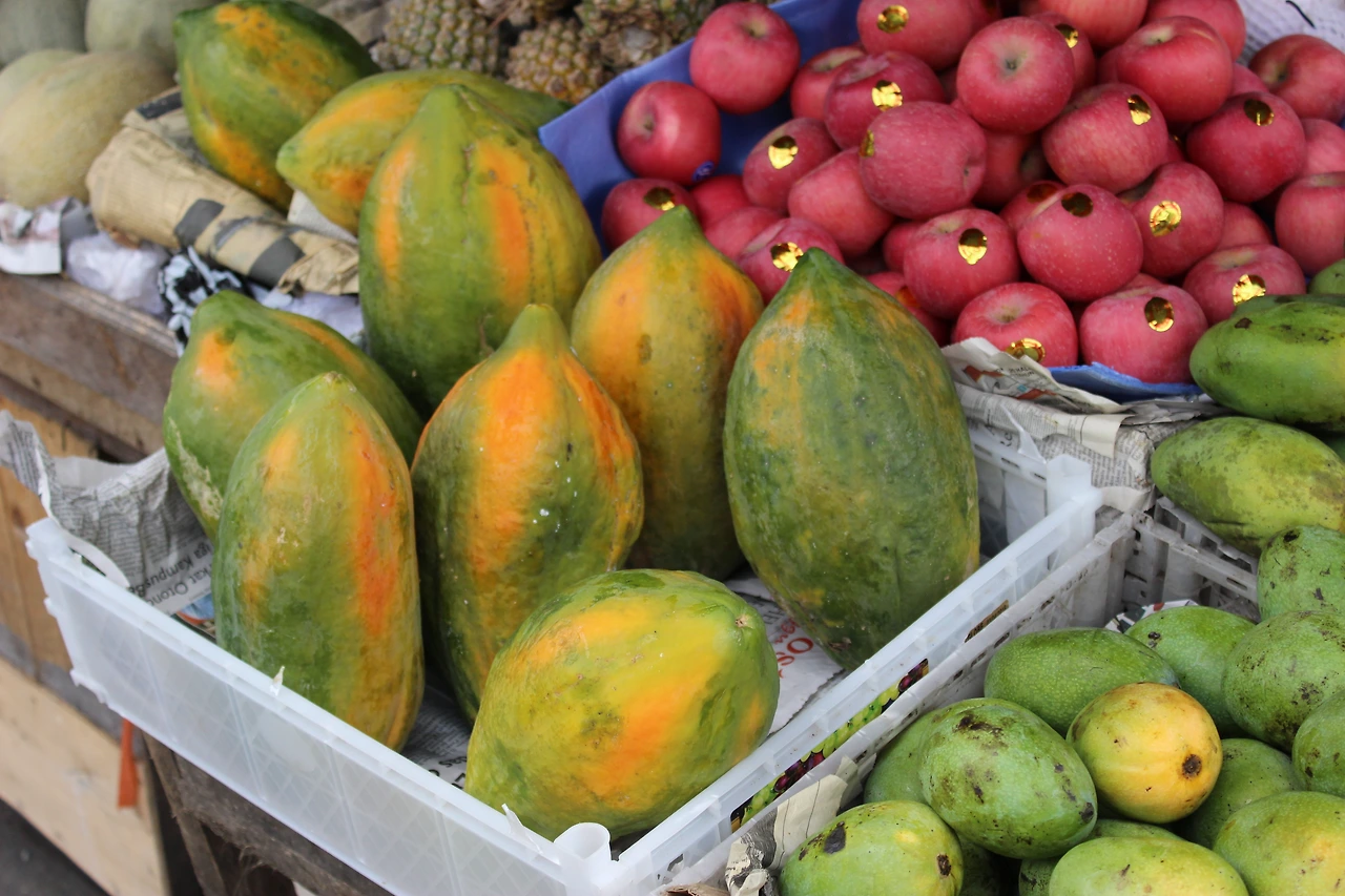 IMG_2058 - 복사본.JPG